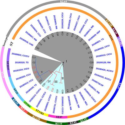 Deciphering the Epidemiological Characteristics and Molecular Features of blaKPC–2- or blaNDM–1-Positive Klebsiella pneumoniae Isolates in a Newly Established Hospital